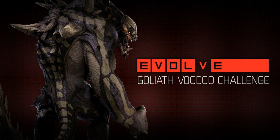 Evolve Voodoo Challenge